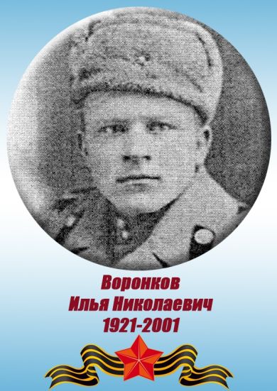 Воронков Илья Николаевич