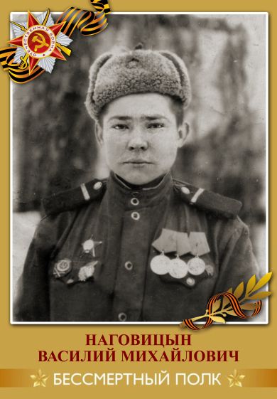 Наговицын Василий Михайлович 