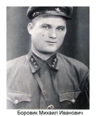 Боровик Микаил Иванович