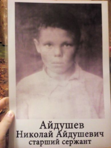 Айдушев Николай Айдушевич