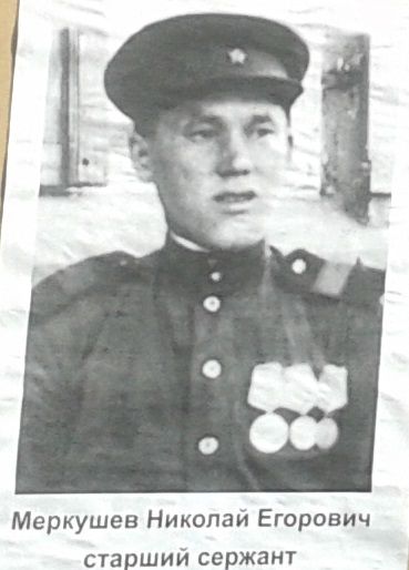 Меркушев Николай Егорович