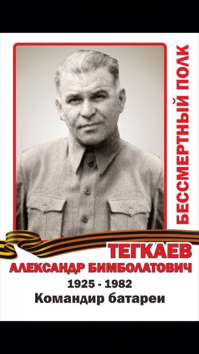 Тегкаев Александр Бимболатович