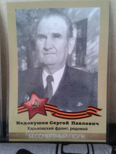 Недокушев Сергей Павлович