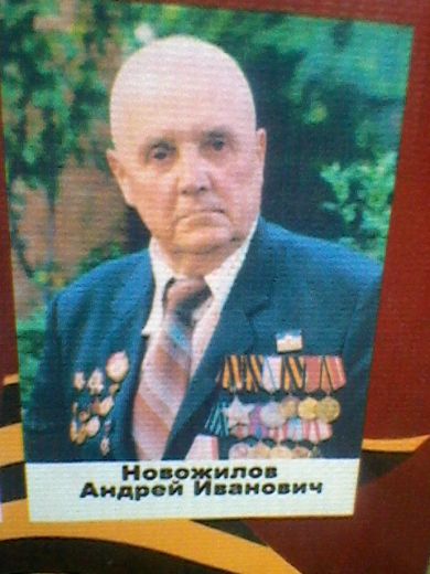 Новожилов Андрей Иванович
