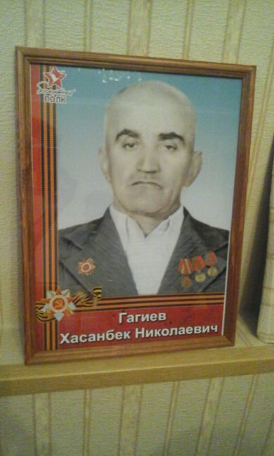 Гагиев Хасанбек Николаевич