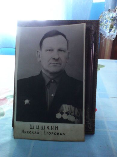 Шишкин Николай Егорович