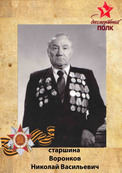 Воронков Николай Васильевич 