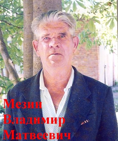 Мезин Владимир Матвеевич