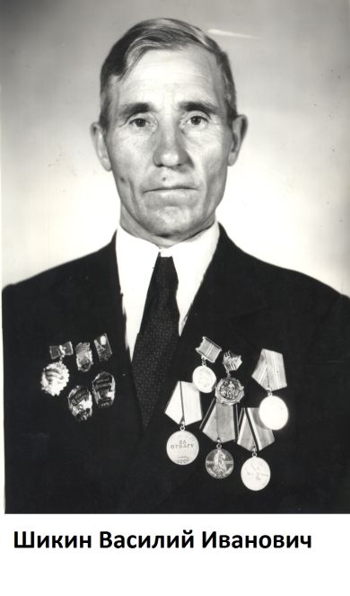 Шикин Василий Иванович