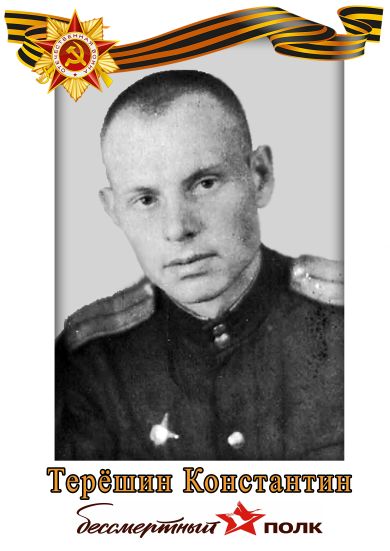 ТЕРЕШИН КОНСТАНТИН НИКОЛАЕВИЧ