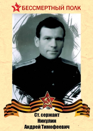 Никулин Андрей Тимофеевич