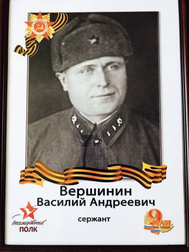 Вершинин Василий Андреевич 