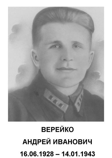 Верейко Андрей Иванович