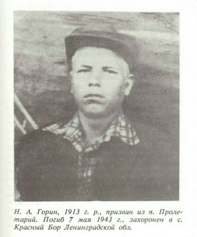 Горин Николай Александрович