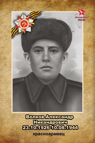 Волков Александр Никандрович