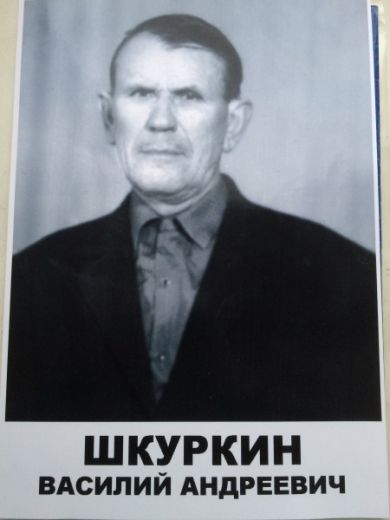 Шкуркин Василий Андреевич