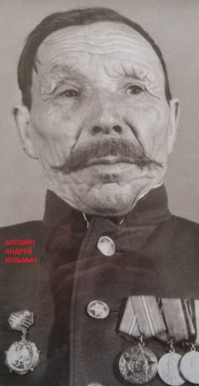 Алёшин Андрей Кузьмич