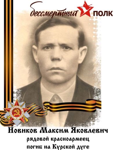 Новиков Максим Яковлевич