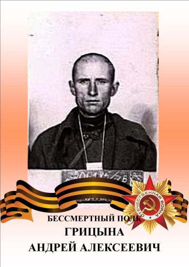 Грицына Андрей Алексеевич