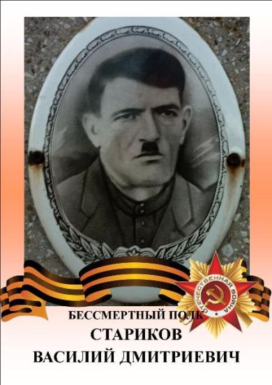 Стариков Василий Дмитриевич