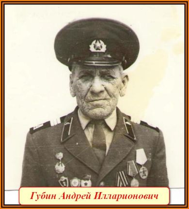 Губин Андрей Илларионович