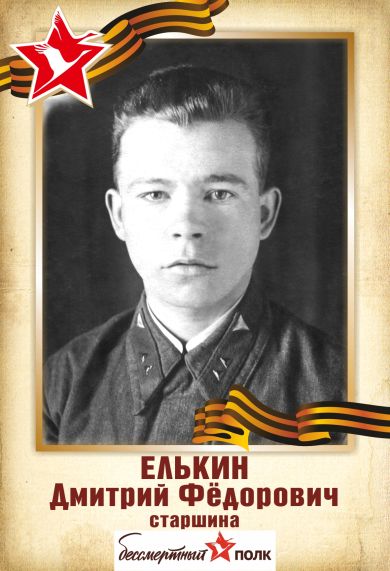 Елькин Дмитрий Фёдорович