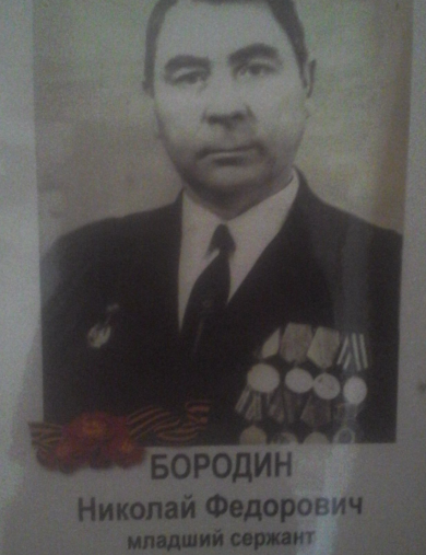 Бородин Николай Федорович
