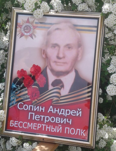 Сопин Андрей Петрович