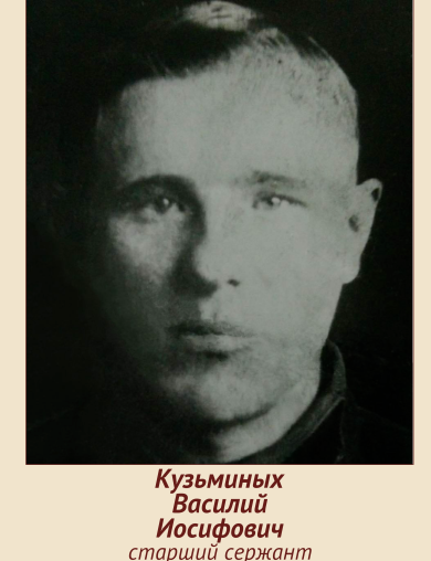 Кузьминых Василий Иосифович