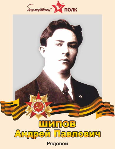 Шипов Андрей Павлович