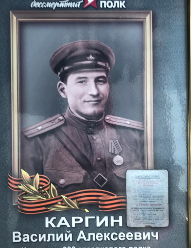Каргин Василий Алексеевич