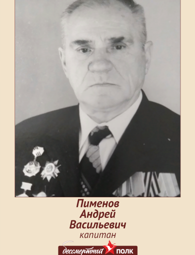 Пименов Андрей Васильевич