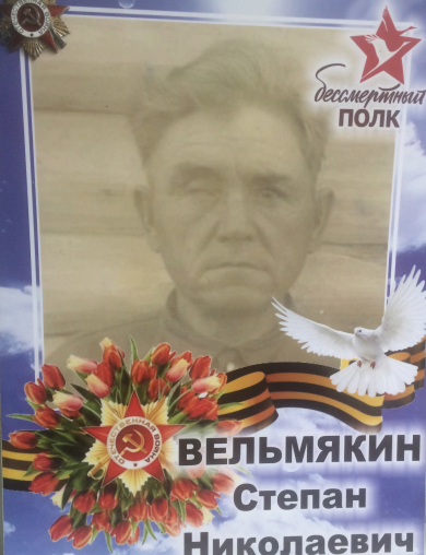 Вельмякин Степан Николаевич