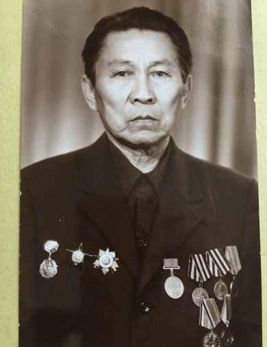 НОВГИНОВ Эрднес Санджинович.