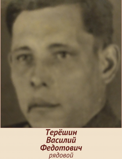 Терёшин Василий Федотович