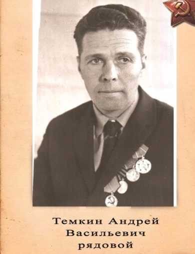 Тёмкин Андрей Васильевич