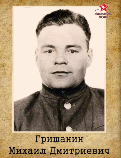 Гришанин Михаил Дмитриевич