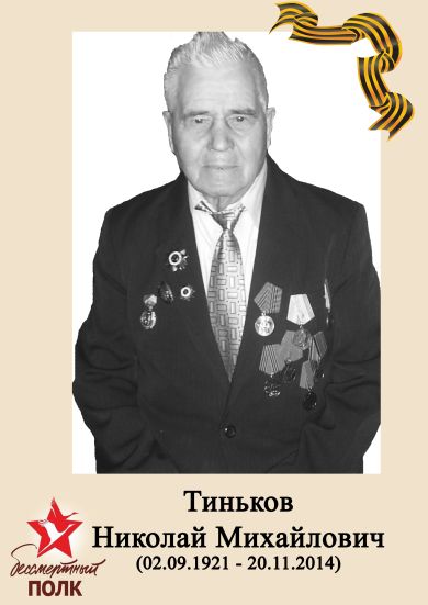 Тиньков Николай Михайлович