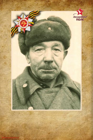Молчанов Дмитрий Максимович