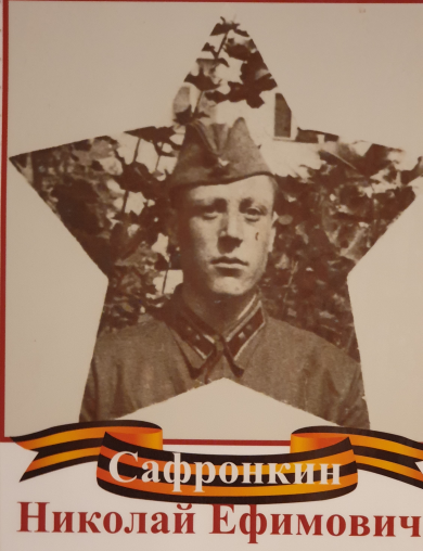 Сафронкин Николай Ефимович