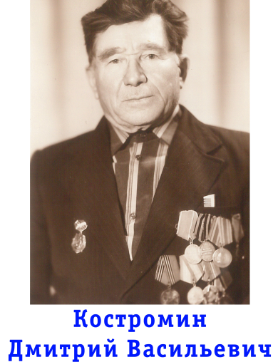 Костромин Дмитрий Васильевич