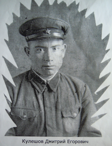 Кулешов Дмитрий Егорович