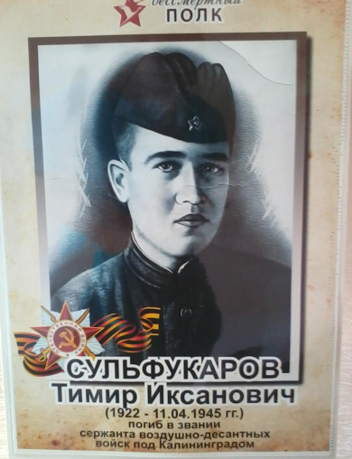 Сульфукаров Тимир Иксанович
