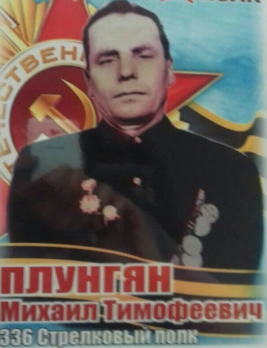 Плунгян Михаил Тимофеевич