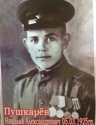 Пушкарев Николай Александрович