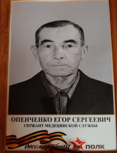 Опенченко Егор Сергеевич