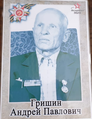 Гришин Андрей Павлович