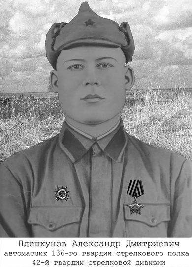 Плешкунов Александр Дмитриевич