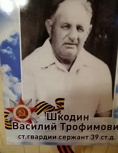 Шкодин Василий Трофимович