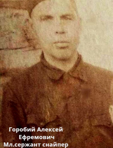 Горобий Алексей Ефремович